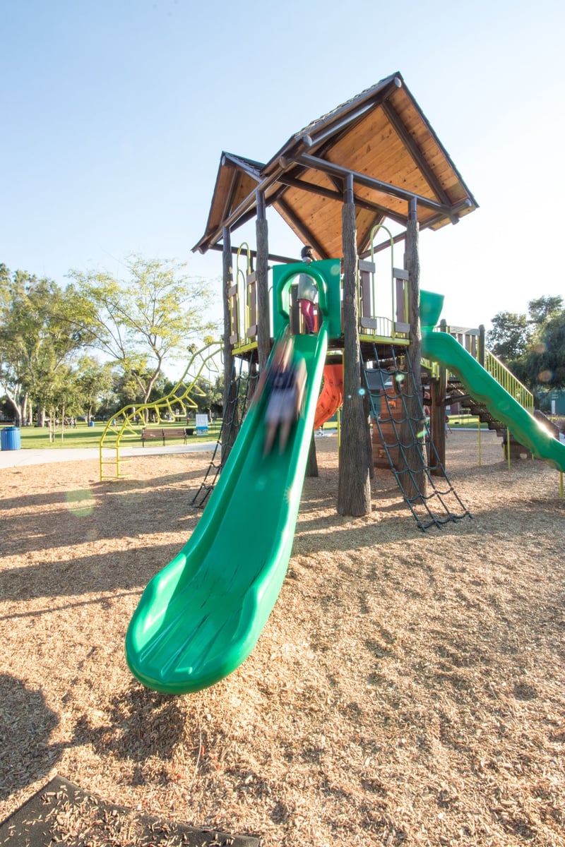 Grape Day Park preview 21